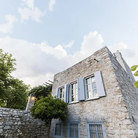 Villa The House